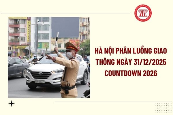 Pháp luật