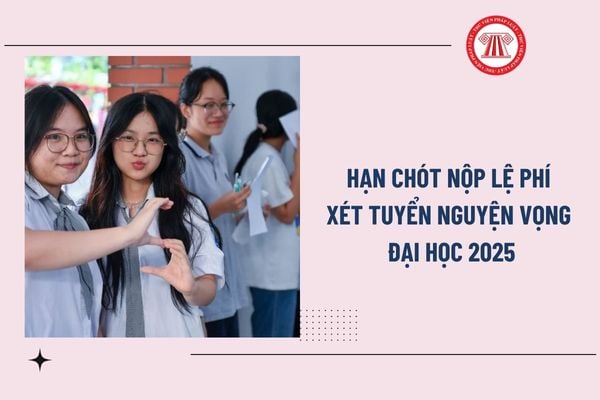Pháp luật