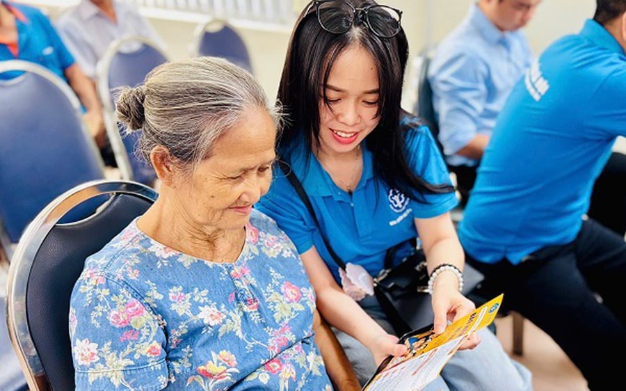 Pháp luật