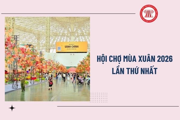 Pháp luật