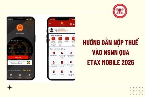 Pháp luật