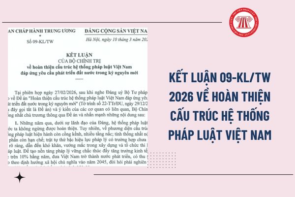 Pháp luật