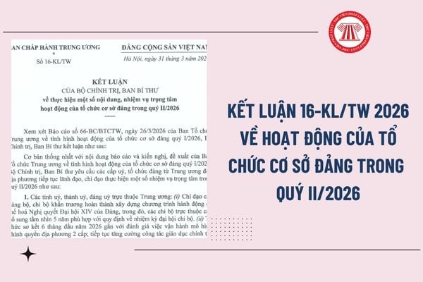 Pháp luật