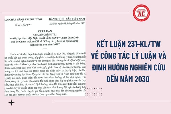Pháp luật