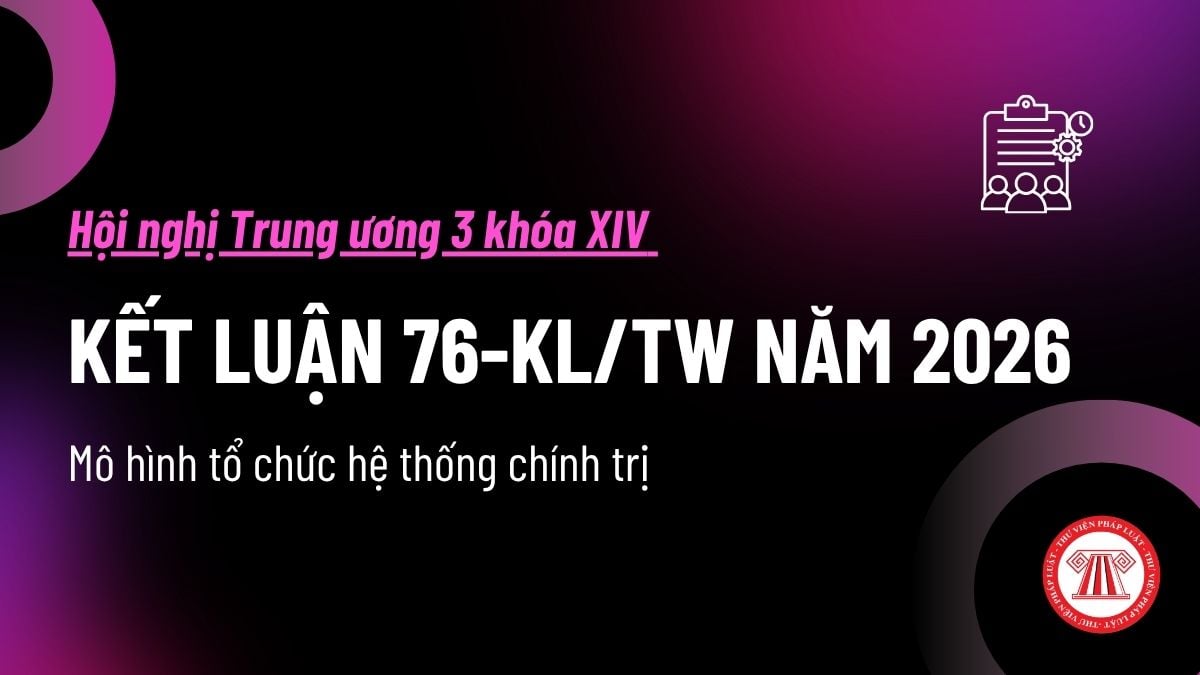 Pháp luật
