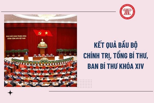 Pháp luật