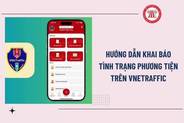 Pháp luật