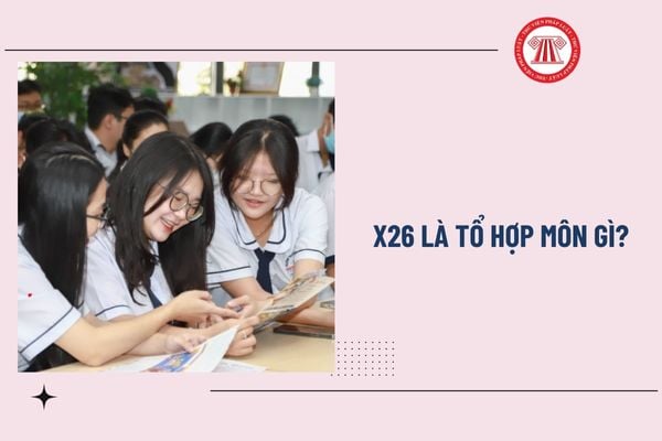 Pháp luật