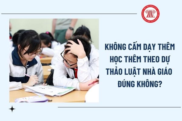 Pháp luật