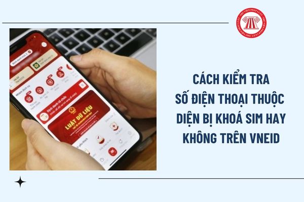 Pháp luật
