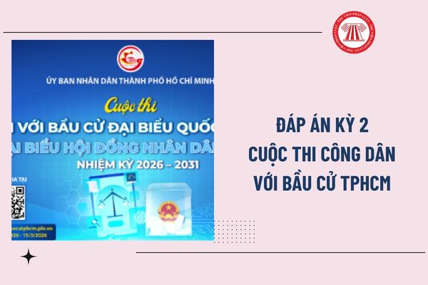 Pháp luật