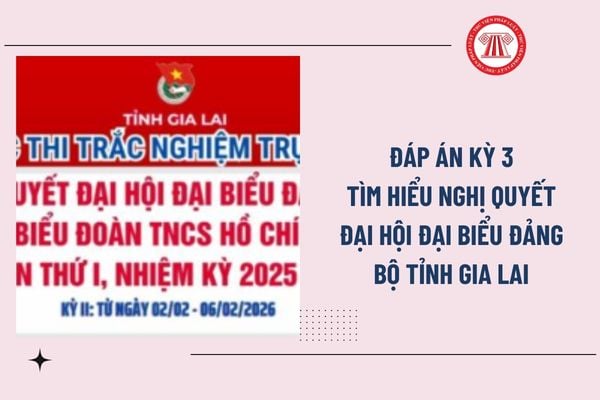 Pháp luật