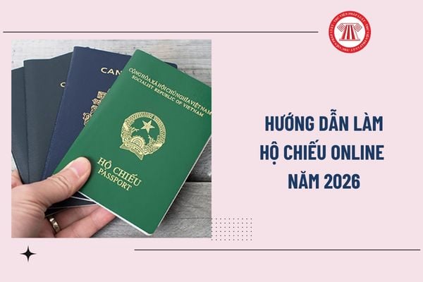 Pháp luật