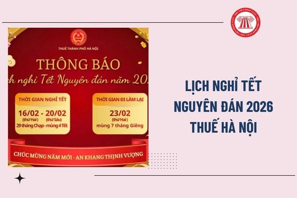 Pháp luật