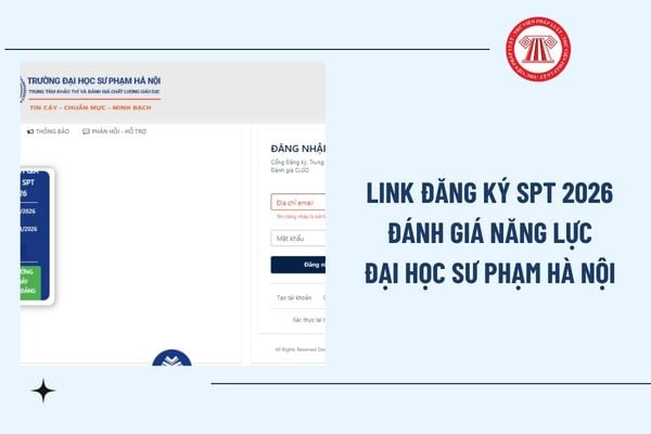 Pháp luật