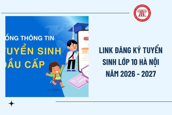 Pháp luật