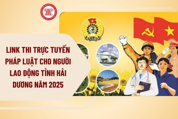 Pháp luật