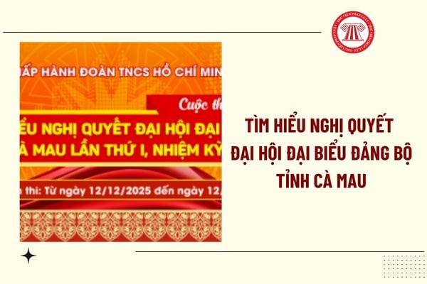Pháp luật