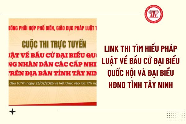 Pháp luật