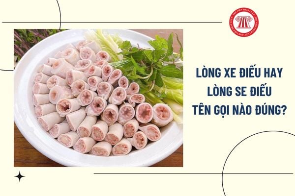 Pháp luật