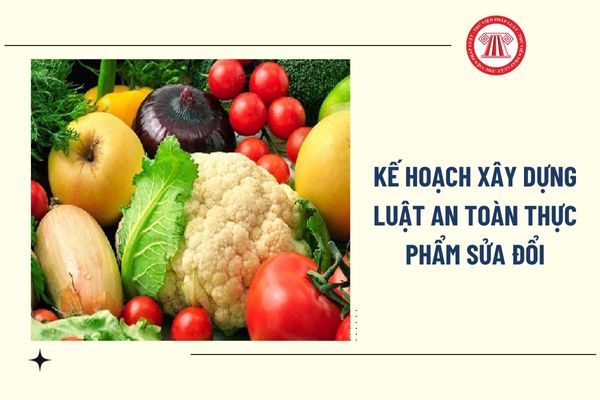 Pháp luật