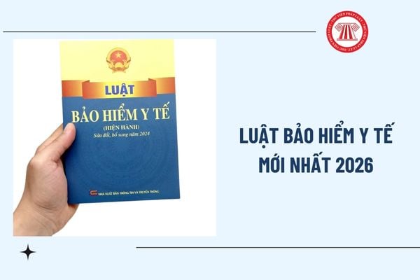 Pháp luật