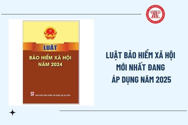 Pháp luật