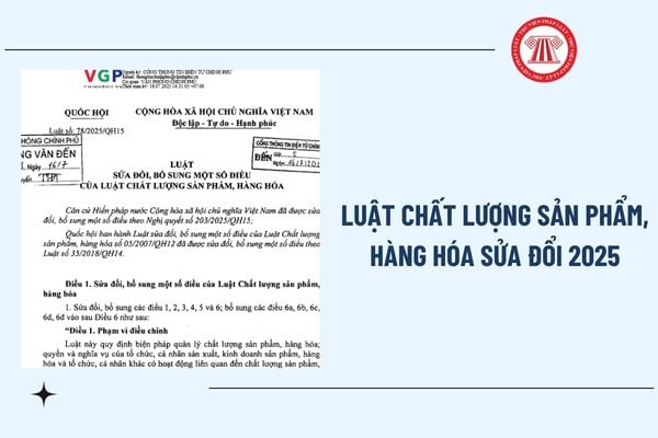 Pháp luật