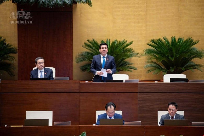 Pháp luật
