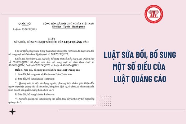 Pháp luật