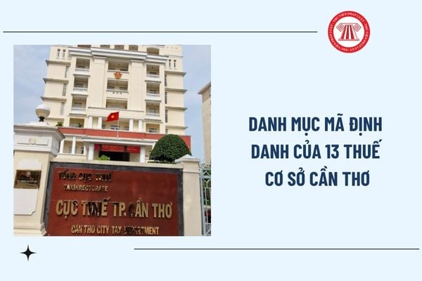 Pháp luật