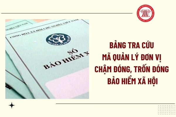 Pháp luật