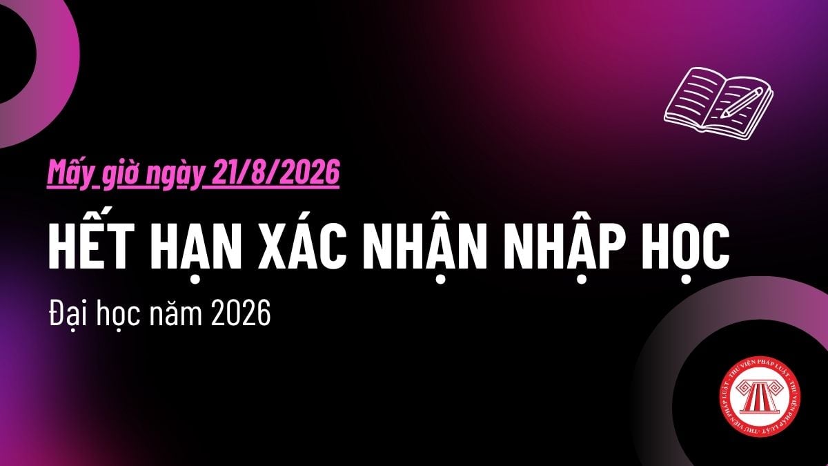 Pháp luật