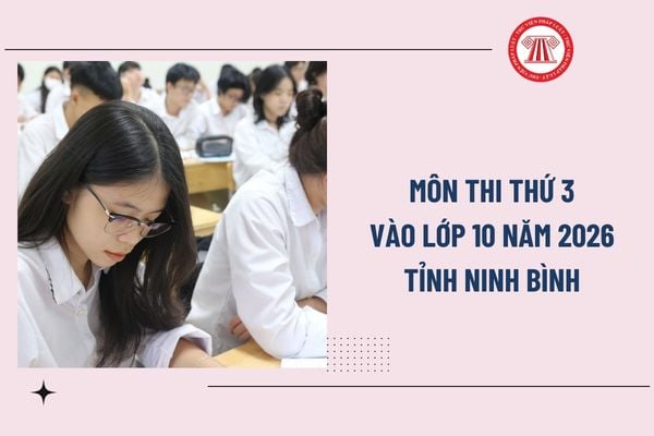 Pháp luật