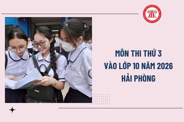 Pháp luật