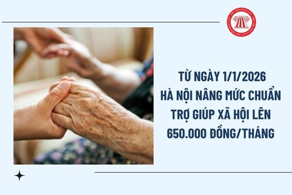Pháp luật