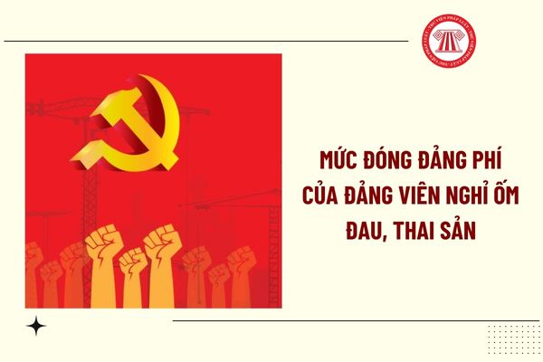 Mức đóng đảng phí của đảng viên nghỉ ốm đau, thai sản theo Quy định 01-QĐ/TW 2026 là bao nhiêu?