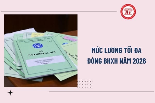 Pháp luật