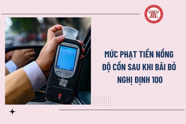 Pháp luật