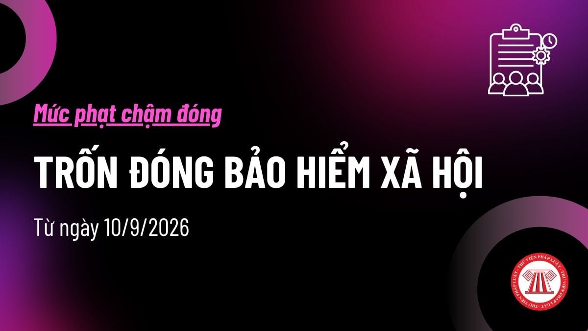 Pháp luật