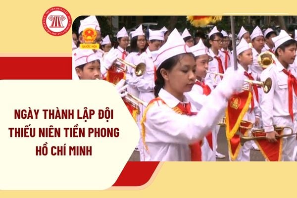 Pháp luật