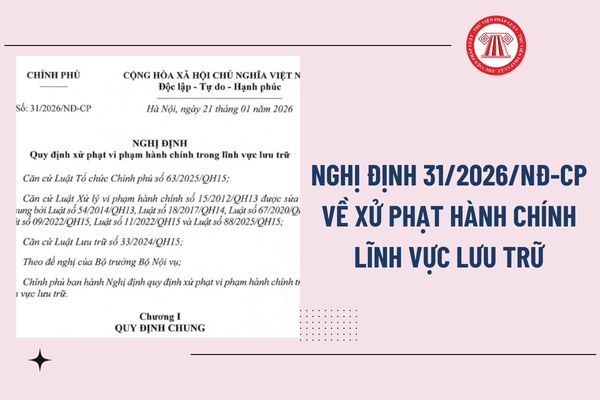 Pháp luật