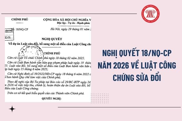 Pháp luật