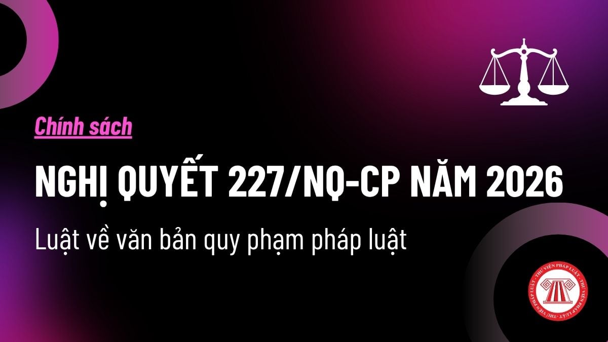 Pháp luật