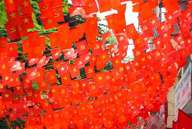 Pháp luật