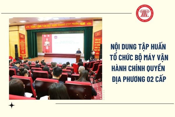 Pháp luật