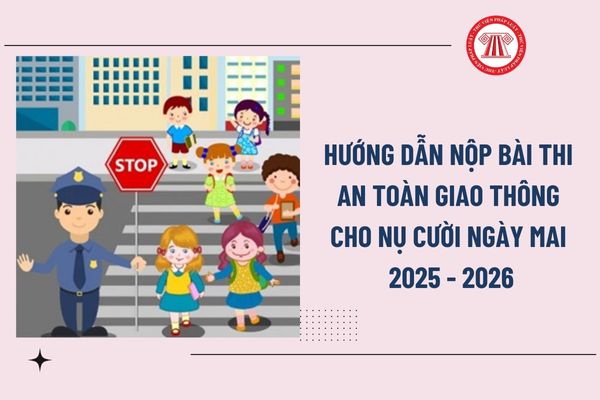 Pháp luật