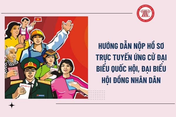Pháp luật