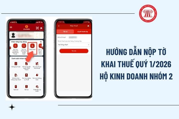 Pháp luật