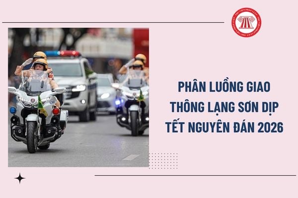 Pháp luật